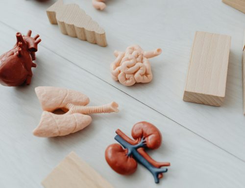 Rak ledvic, vnetje-nefritis, tumor,ciste, zdravljenje